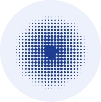 Image Title Alt Image