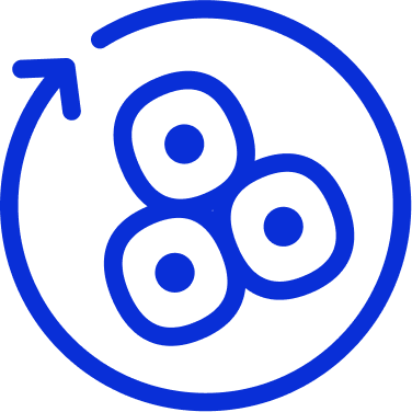 Image Title Alt Image